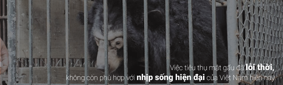 NSƯT[-]Trung[-]Anh[-]v&agrave;[-]NSƯT[-]Xu&acirc;n[-]Bắc[-]k&ecirc;u[-]gọi[-]cộng[-]đồng[-]kh&ocirc;ng[-]sử[-]dụng[-]mật[-]gấu[-]